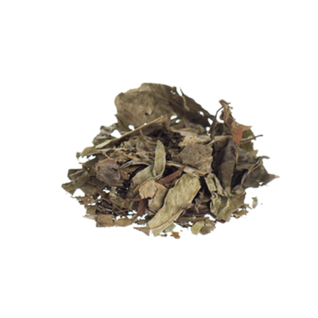 Banisteriopsis Caapi & Chacruna Ayahuasca Herbs - Image 2