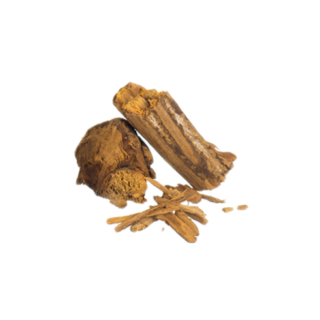 Banisteriopsis Caapi & Chacruna Ayahuasca Herbs - Image 3
