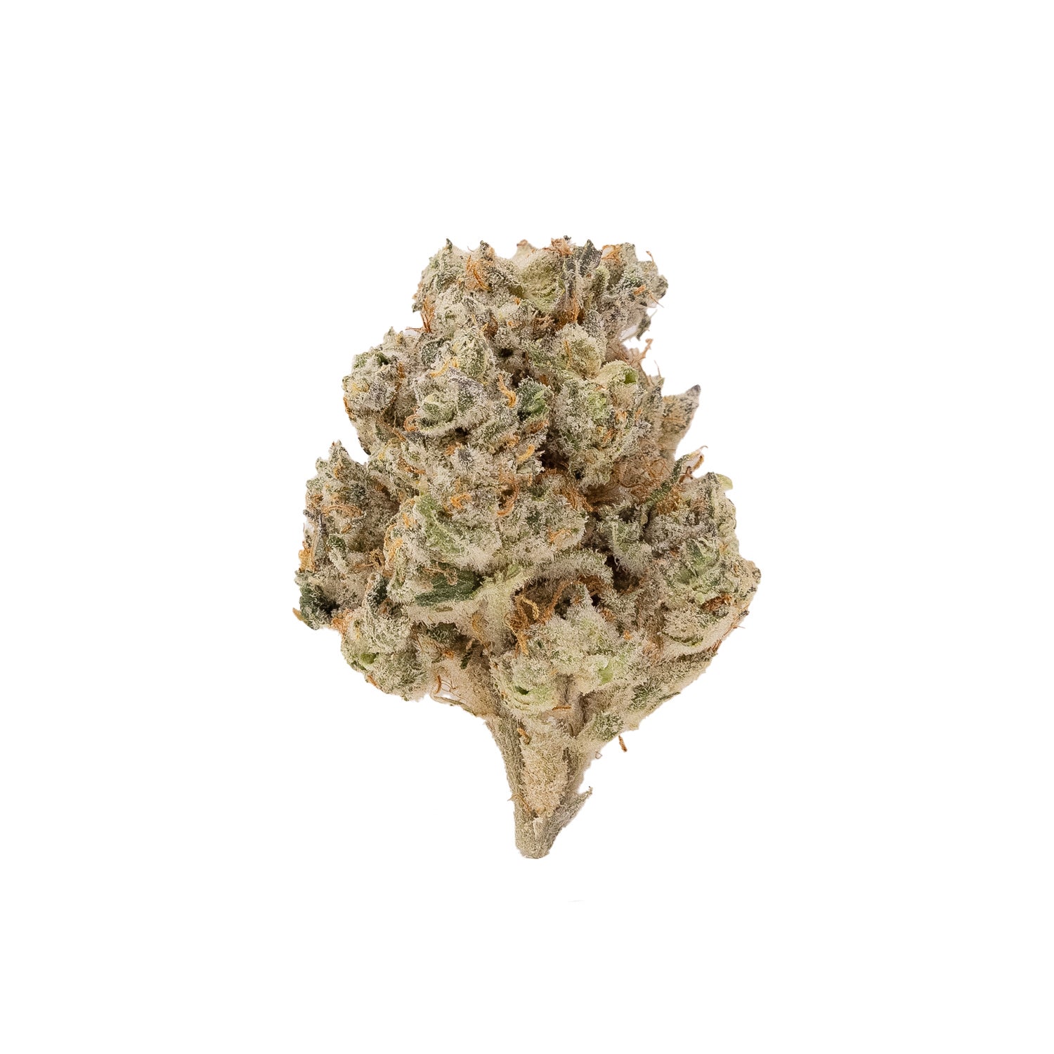 Hoot Cannabis – Tenacious - Image 2