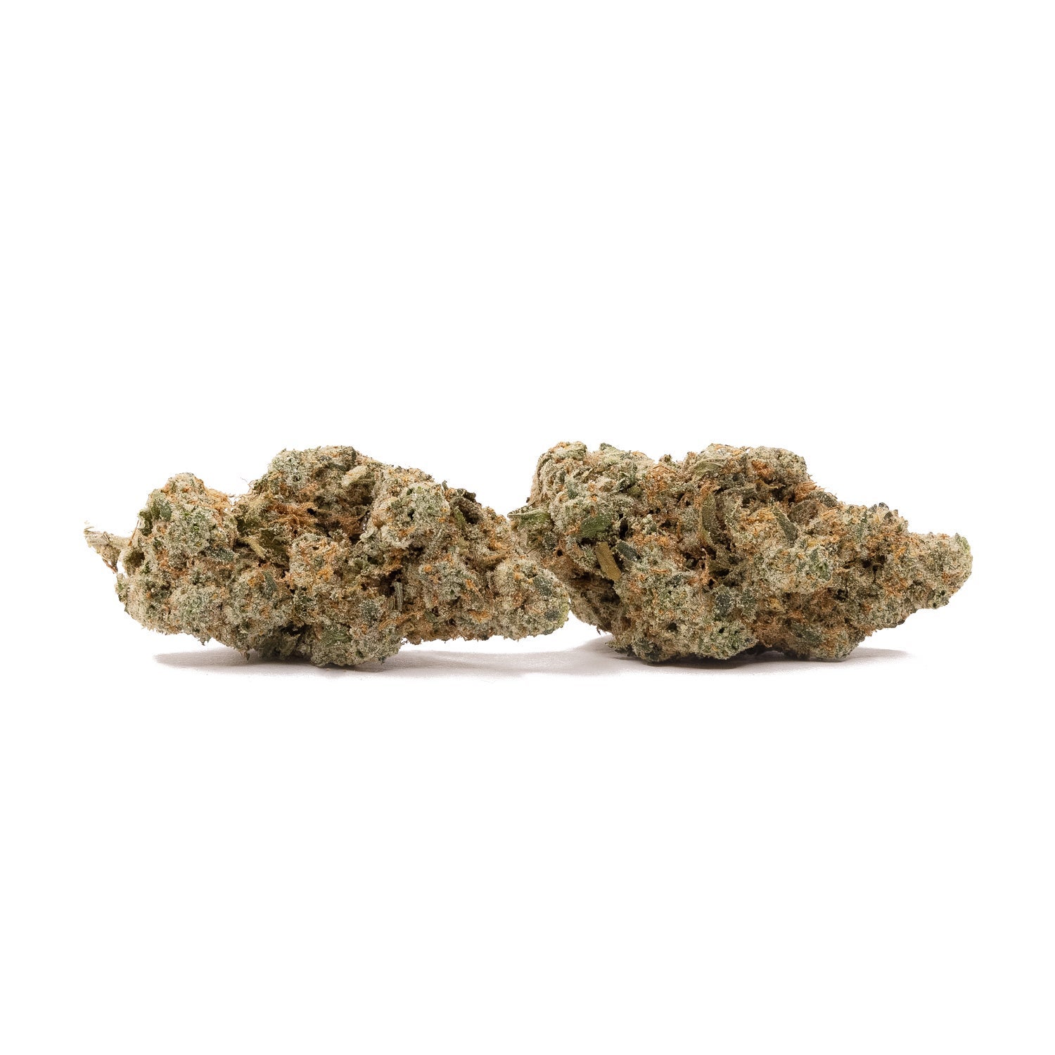 Jungle Ridge – Thin Mint - Image 4