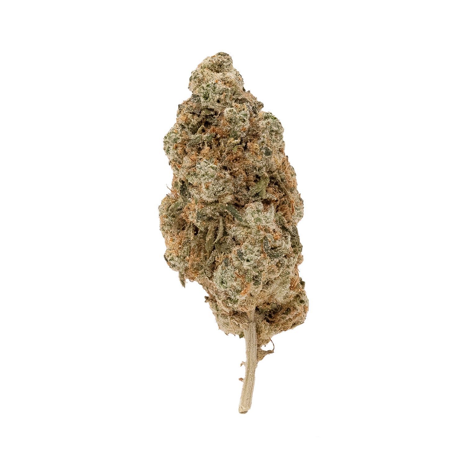 Jungle Ridge – Thin Mint