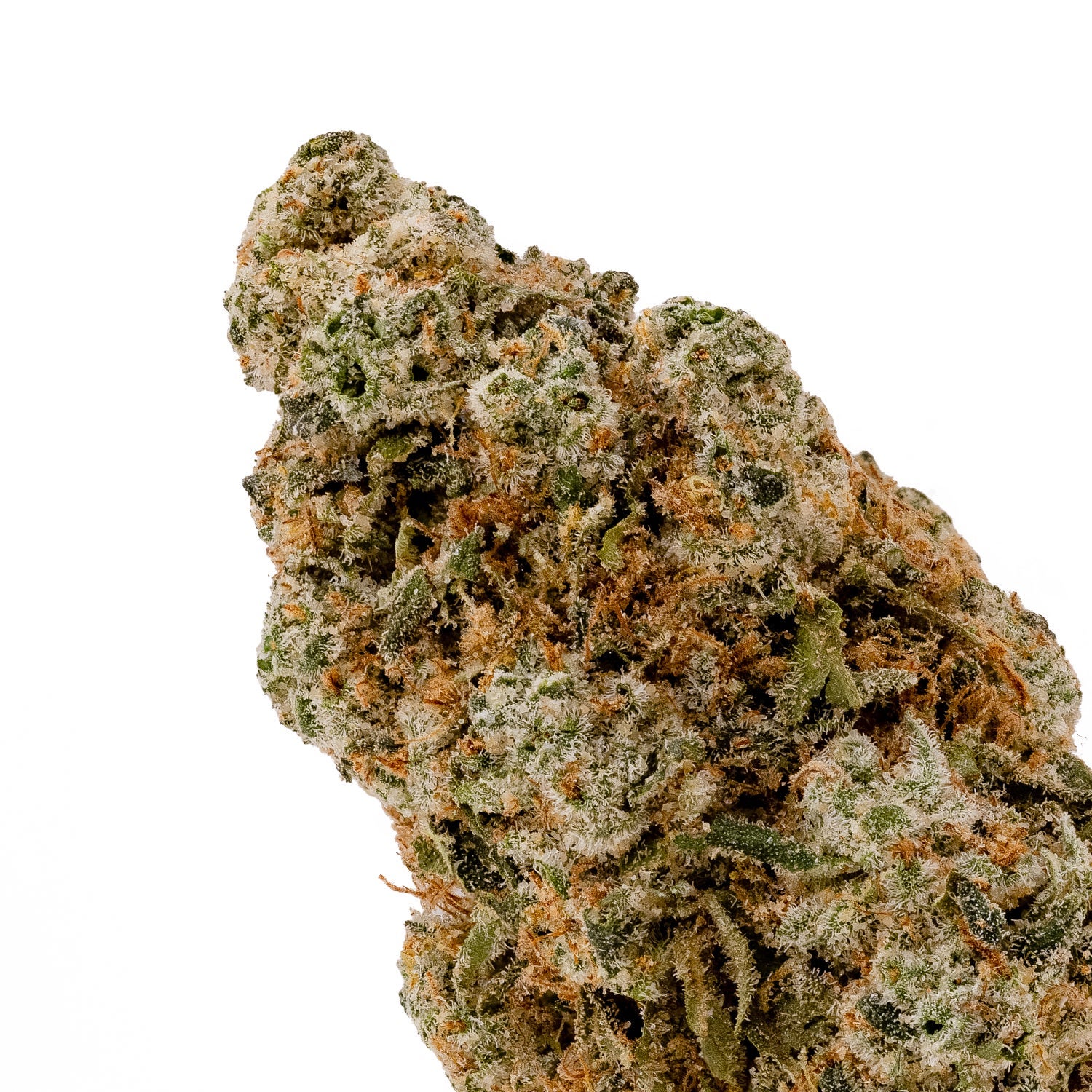 Jungle Ridge – Thin Mint - Image 2
