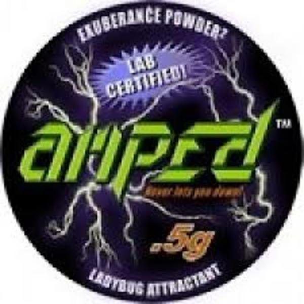 AMPED – 500mg