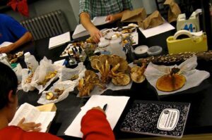 Students using professional mycology supplies during laboratory education