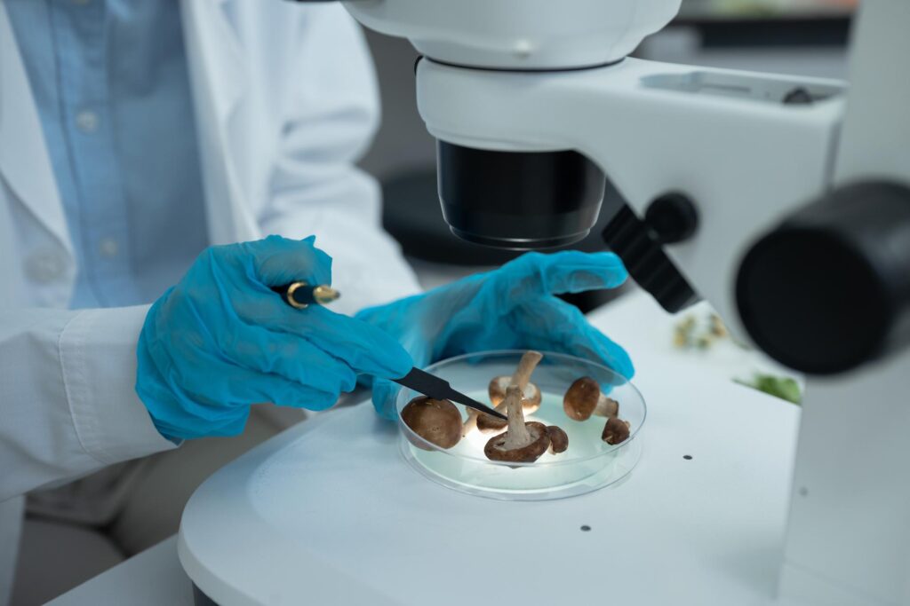Scientists exploring the future of mycology and fungal research
