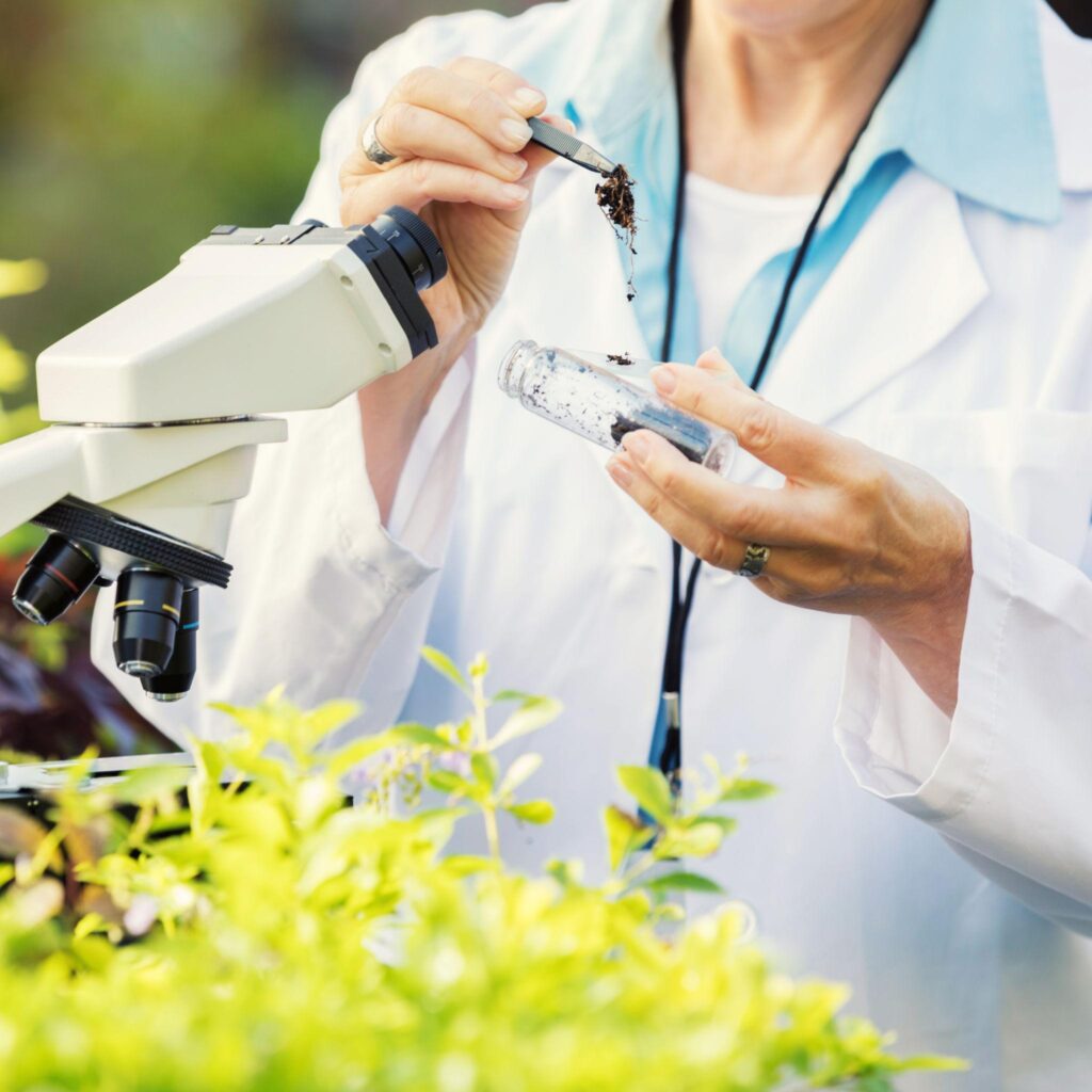 Environmental researchers studying fungal communities and soil health
