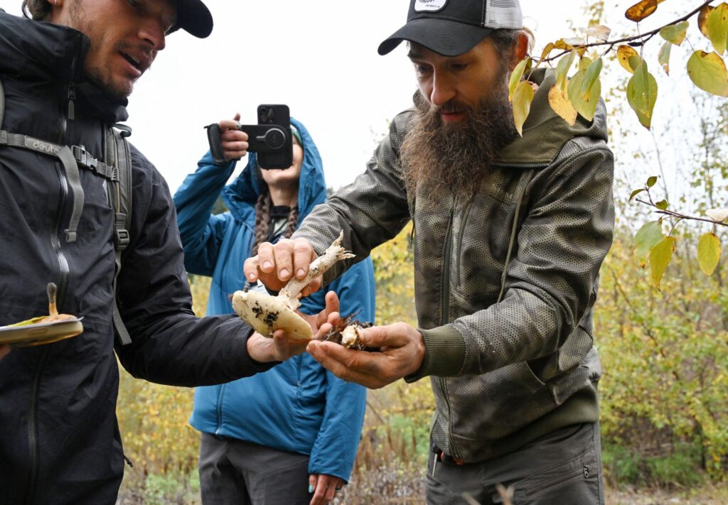 Scientists studying fungi as part of environmental research and ecosystem monitoring
